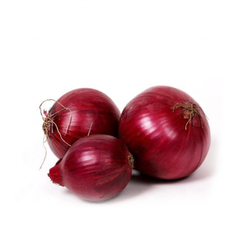 Gansu onion small red onions Round Dark Red Dry Onion fresh from Farm